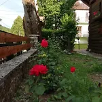 Domek alpejski Carmen Kuca Za Odmor Sa Wellnessom,sunger Mrkopalj