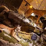 Carmen Kuca Za Odmor Sa Wellnessom,sunger