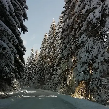 Carmen Kuca Za Odmor Sa Wellnessom,sunger *