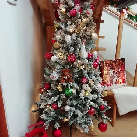 Carmen Kuca Za Odmor Sa Wellnessom,sunger