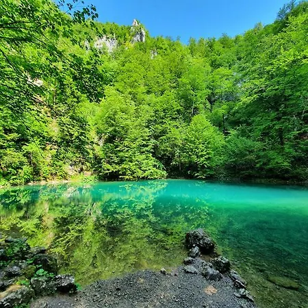 Carmen Kuca Za Odmor Sa Wellnessom,sunger 马考巴尔贾