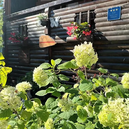 Carmen Kuca Za Odmor Sa Wellnessom,sunger