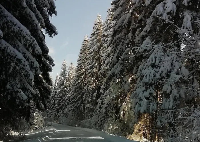 Carmen Kuca Za Odmor Sa Wellnessom,sunger *