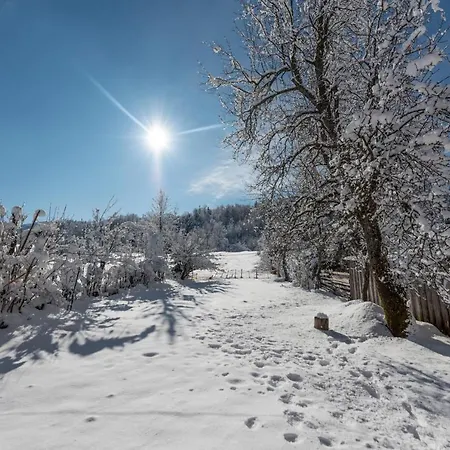 Carmen Kuca Za Odmor Sa Wellnessom,sunger Chalet Mrkopalj