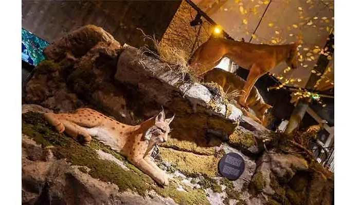 Carmen Kuca Za Odmor Sa Wellnessom,sunger