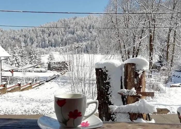 Carmen Kuca Za Odmor Sa Wellnessom,sunger *